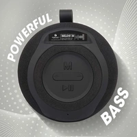 Zebronics ZEB-BELLOW 40 Bluetooth Portable Speaker