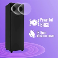 Zebronics Zeb-BT800RUF 50W Tower Speaker with Wired mic for Karaoke