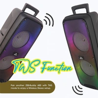 Zebronics Zeb-Buddy 600 Wireless Portable Speaker