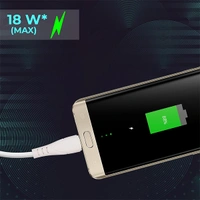 Zebronics Zeb-MU240 USB to Micro USB 2.4 Amps 18 watts