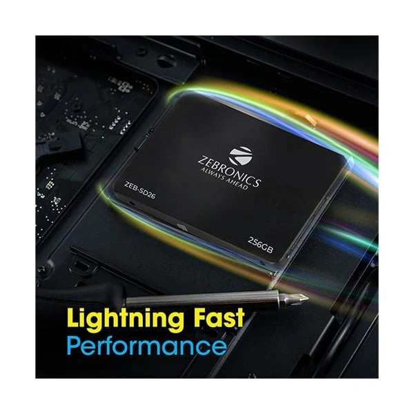 Zebronics ZEB-SD26 256 GB Solid State Drive, TLC, SATA II & SATA III Interface