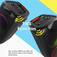 Zebronics Zeb-Thump 800 Trolley Speaker