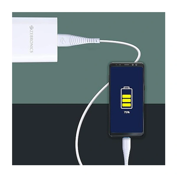 Zebronics ZEBRONICS ZEB-UCC101 Type C cable - White