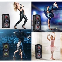 Zoook Rocker Thunder Plus 40W Karaoke Bluetooth Party Speaker