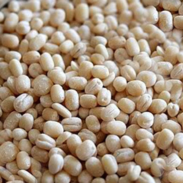 Sortex Dal URAD DAL - 250g