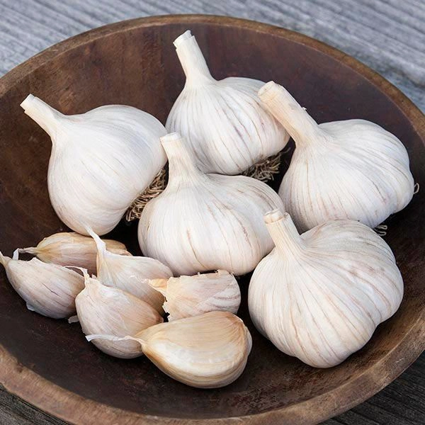GARLIC (LASUN) - 250g