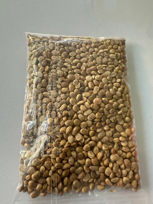 Jolly Basket Charoli 100gm