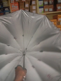 Umbrella