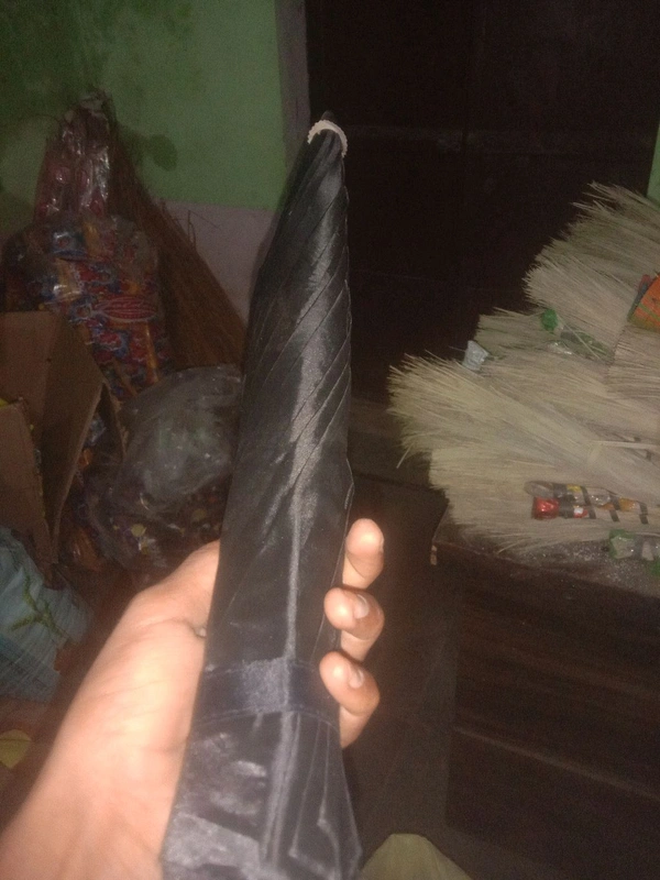 Umbrella