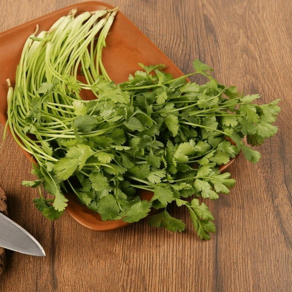 Organically Grown Coriander - 100 g (Dhaniya Patta)