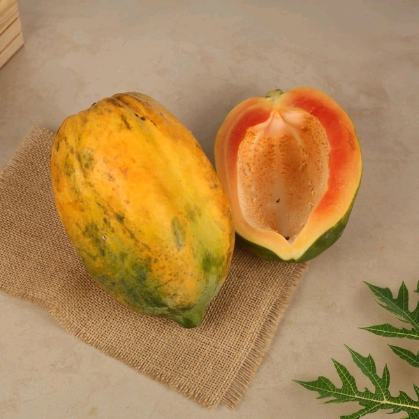 Papaya (Papita)