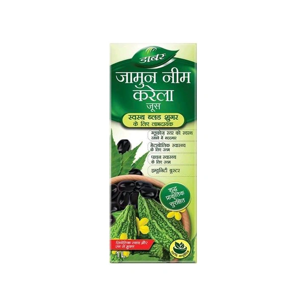 Dabur Jamun Neem Karela Health Juice