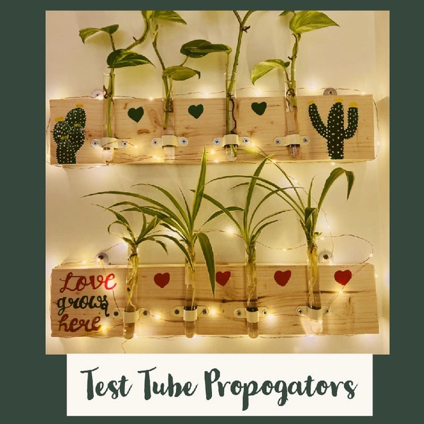 Test Tube Propogators(set Of 2)