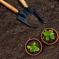 GARDEN TOOLS BIG BLACK