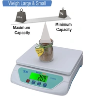 TS 200 SCALE