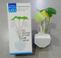 MUSHROOM LAMP- 360 PB - 360 PB