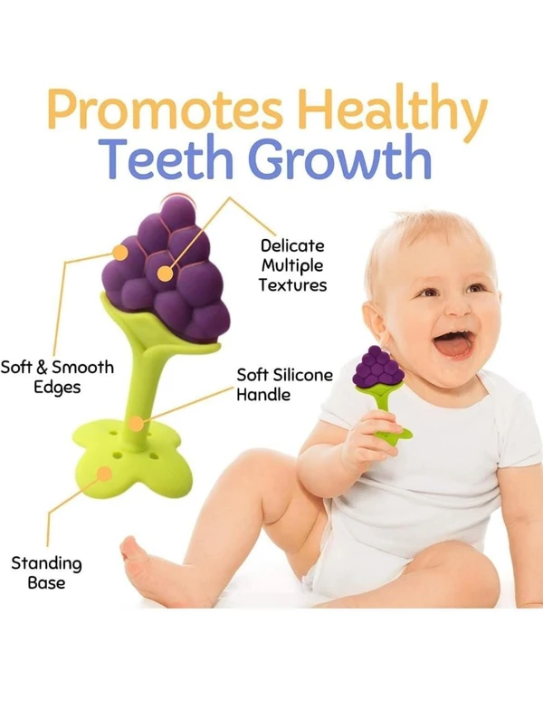 SILICONE TEETHER WITH BOX 500PB