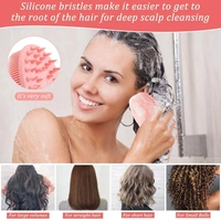 2 IN 1 BATH BRUSH