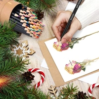 PENCIL COLOUR  (SET OF 24) BQ2085