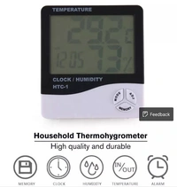 Thermometer With Alarm Clock