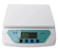 ELECTRONIC SCALE TS 500 20PB