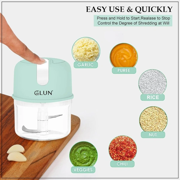 GLUN FOOD PROCESSOR
