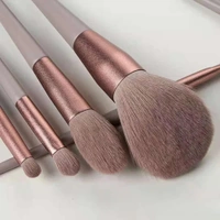 MAKEUP BRUSH (SET OF 13)