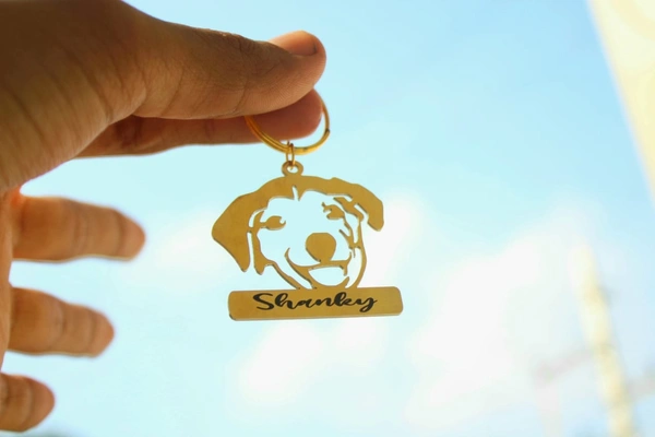 Dog name Collor