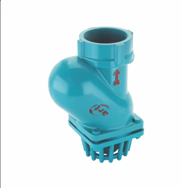 CI Thread Foot Valve Arti - 2.5''
