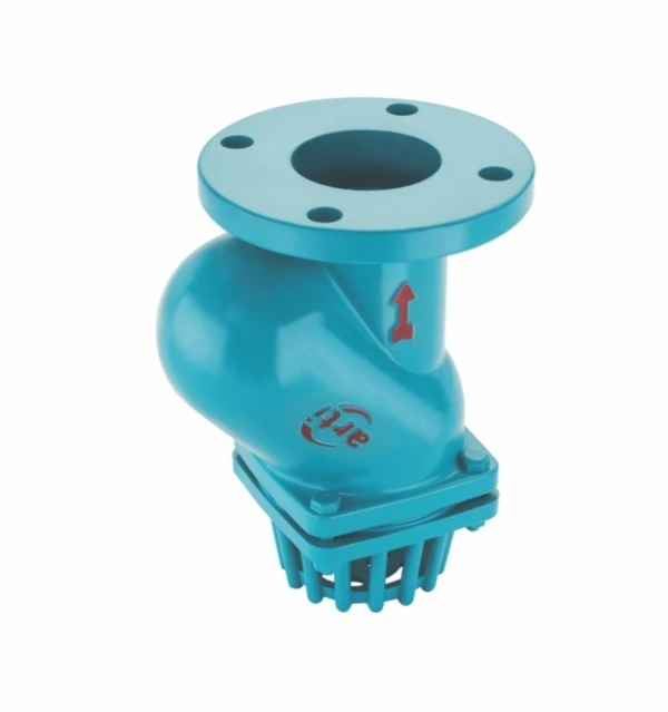 CI Flange Foot Valve Arti - 2.5''