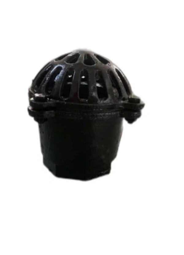 CI Foot Valve  - 2.5''