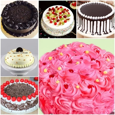All Types Of Cakes 