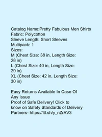 *Pretty Fabulous Men Shirts* - xl
