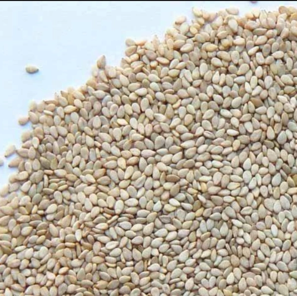 White Sesame Seeds (Til) 