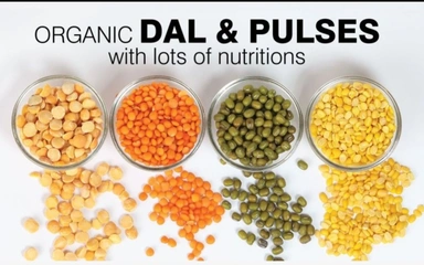 Pulses 