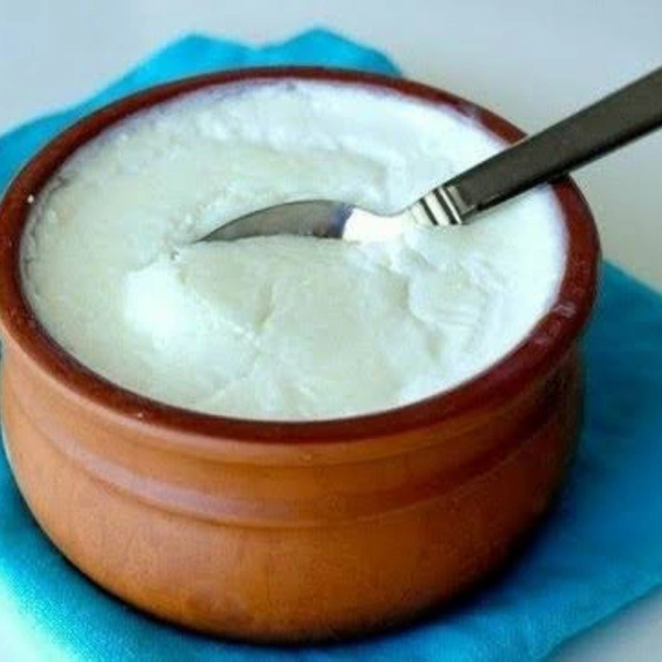 Plain Dahi
