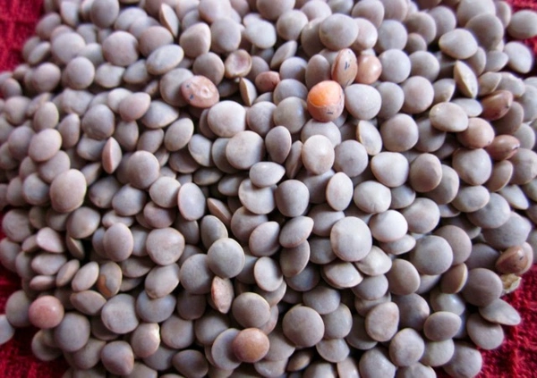 Maroos - 250g