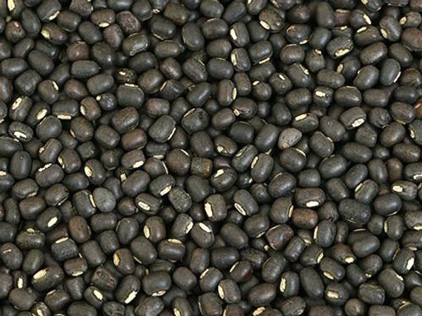 Urad Whole /black - 500g