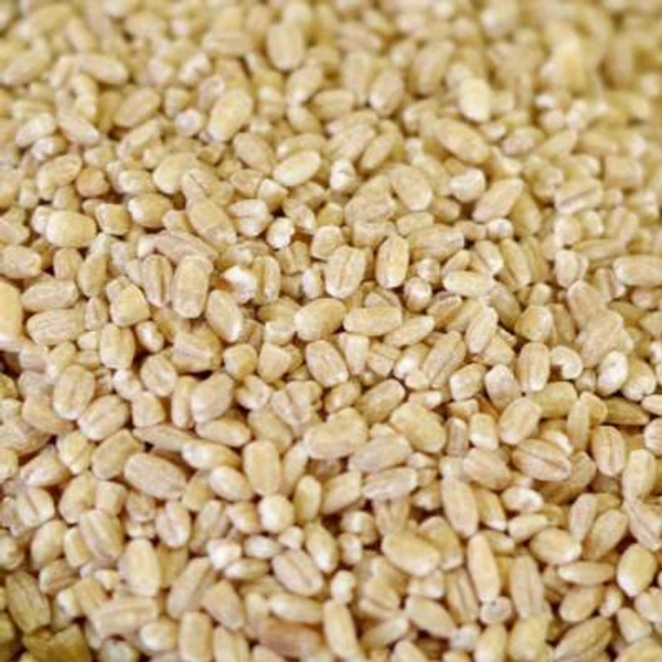 Heal Bareilly Malt - 250 grams