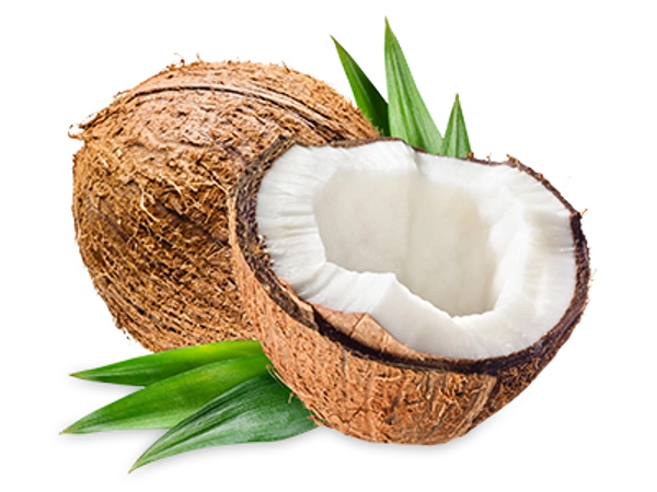 Heal Coconut Powder - 250 grams