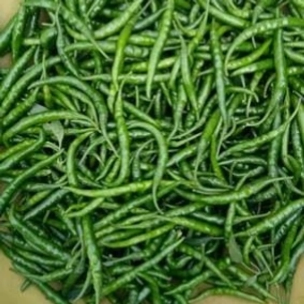 G4 Green Chilli (तीखी पतली मिर्च) - 250g
