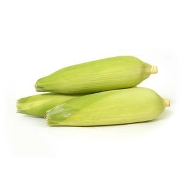 Sweet Corn Cob - Per Piece