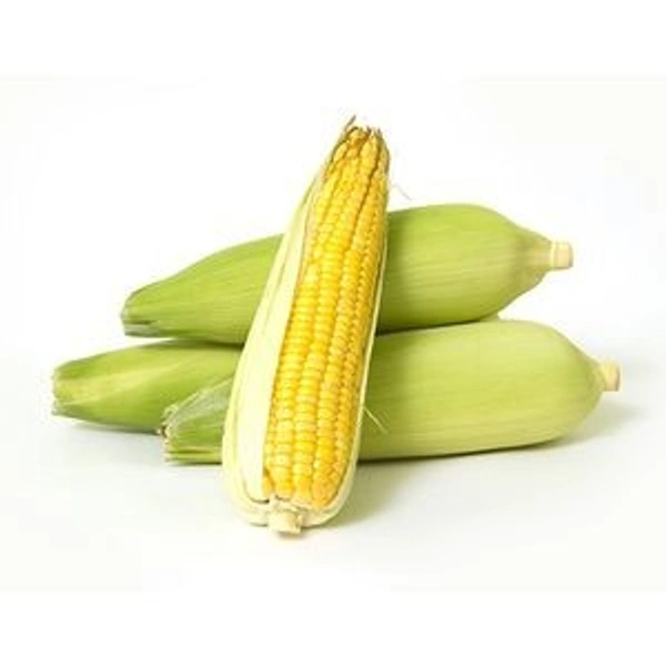 Sweet Corn Cob - Per Piece