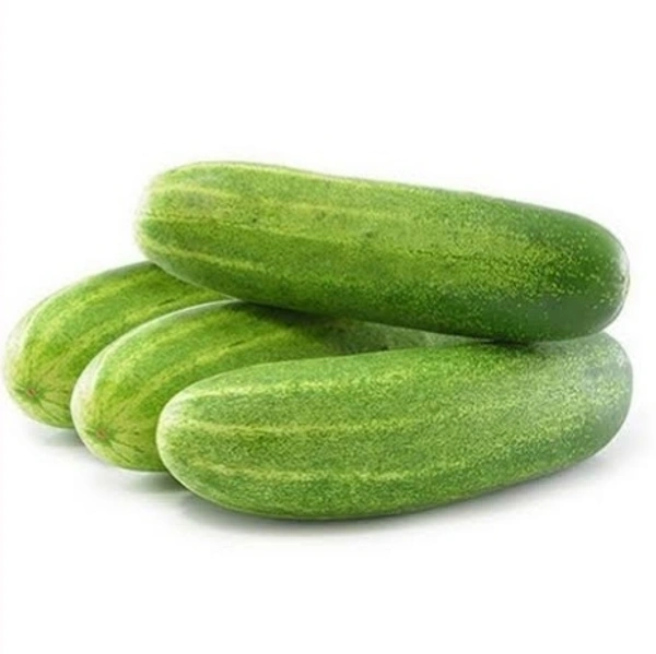 Cucumber (खीरा)  - 500g