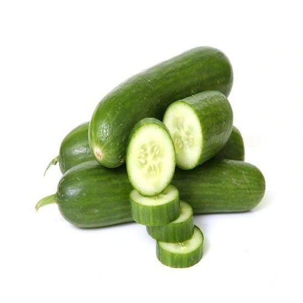Cucumber English (इंग्लिश खीरा)  - 500g