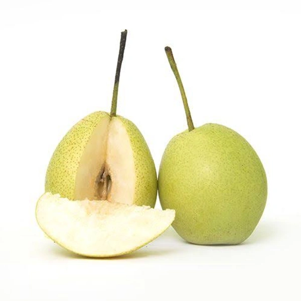 Nashpatti - 1kg
