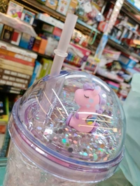 Unicorn Double Wall Design Crackled Freezing Gel Frosty Ice Sipper Water Bottle - Pink