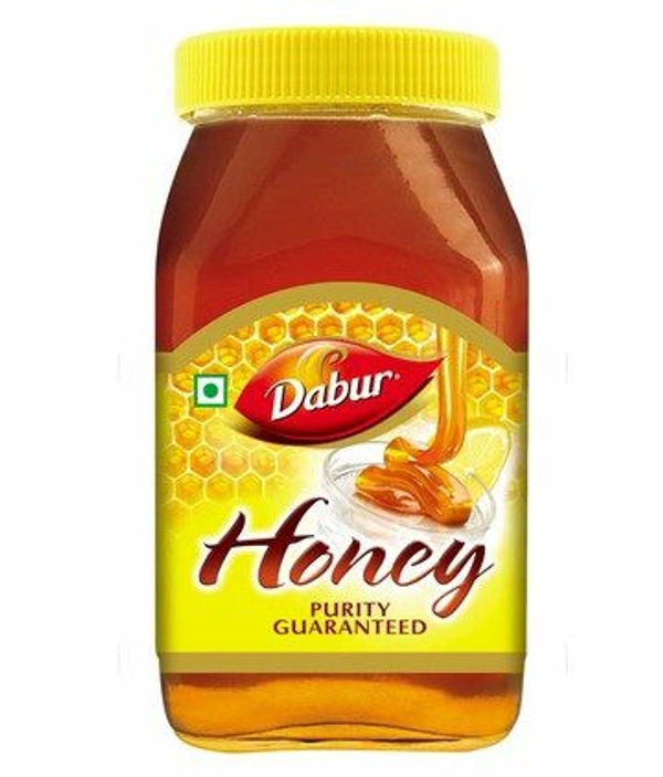 Dabar Honey - 650 Gm