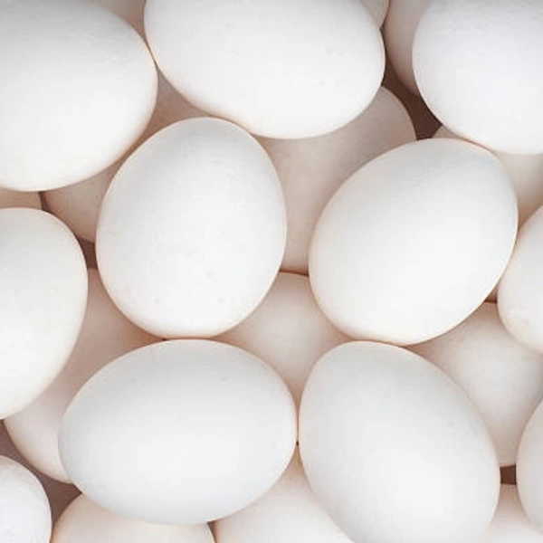 Egg - 1 Piece