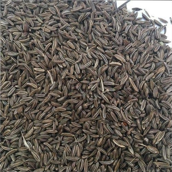 Shah Jeera Loose  - 25 Gm